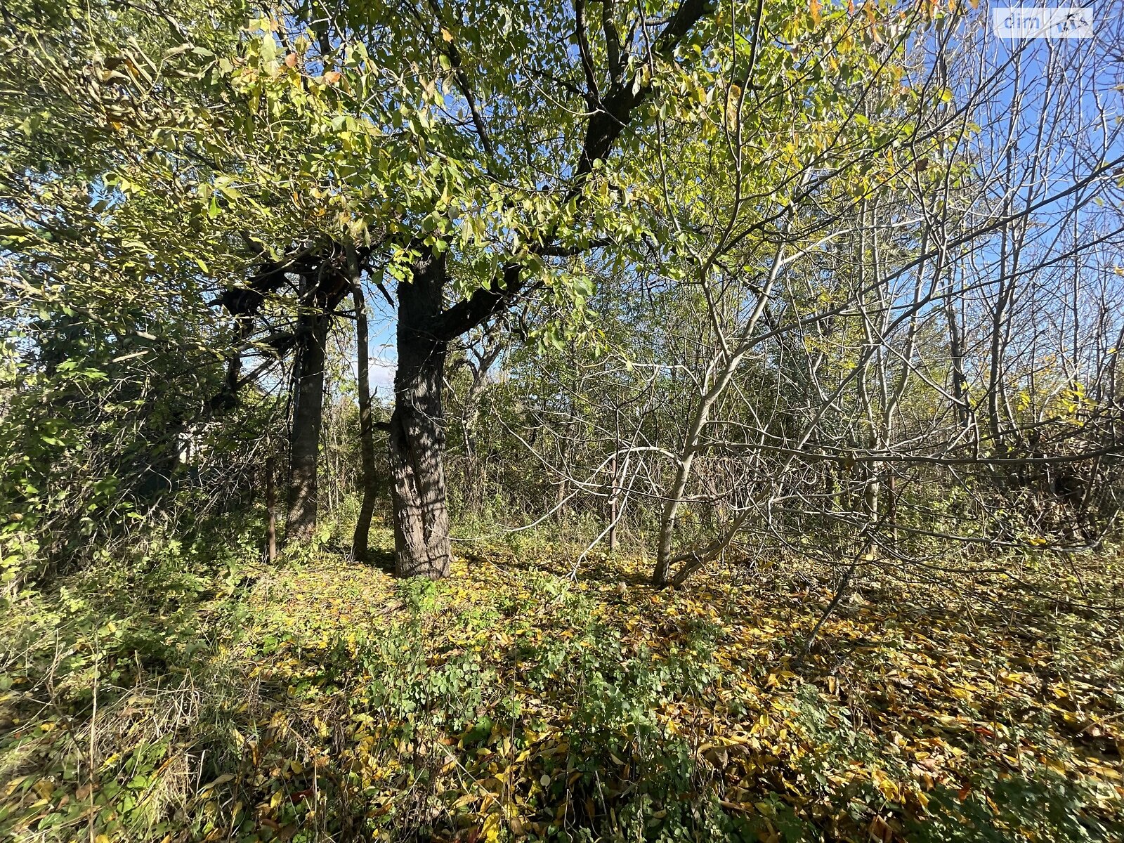 Земельный участок под жилую застройку в Юзвине, площадь 25 соток фото 1 Земельный участок под жилую застройку в Юзвине, площадь 25 соток фото 1