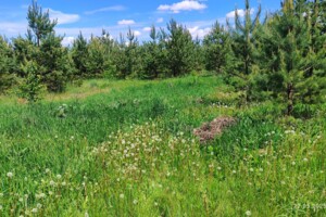 Земельна ділянка під житлову забудову в Юзвині, площа 8 соток фото 2