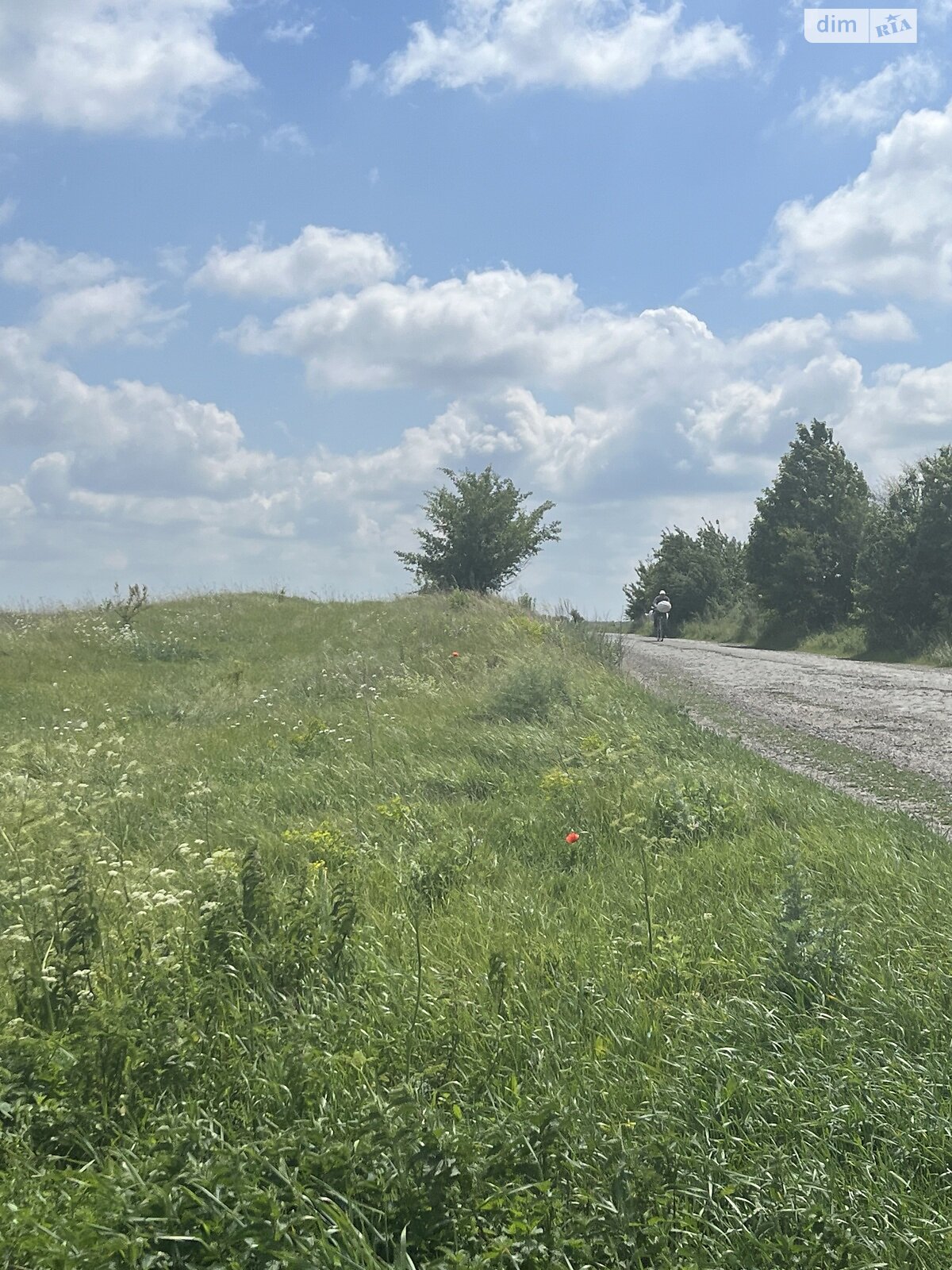 Земельна ділянка під житлову забудову в Заборолі, площа 0.23 Га фото 1