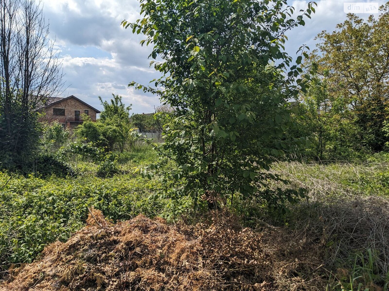 Земельна ділянка під житлову забудову в Загвізді, площа 12 соток фото 1 Земельна ділянка під житлову забудову в Загвізді, площа 12 соток фото 1