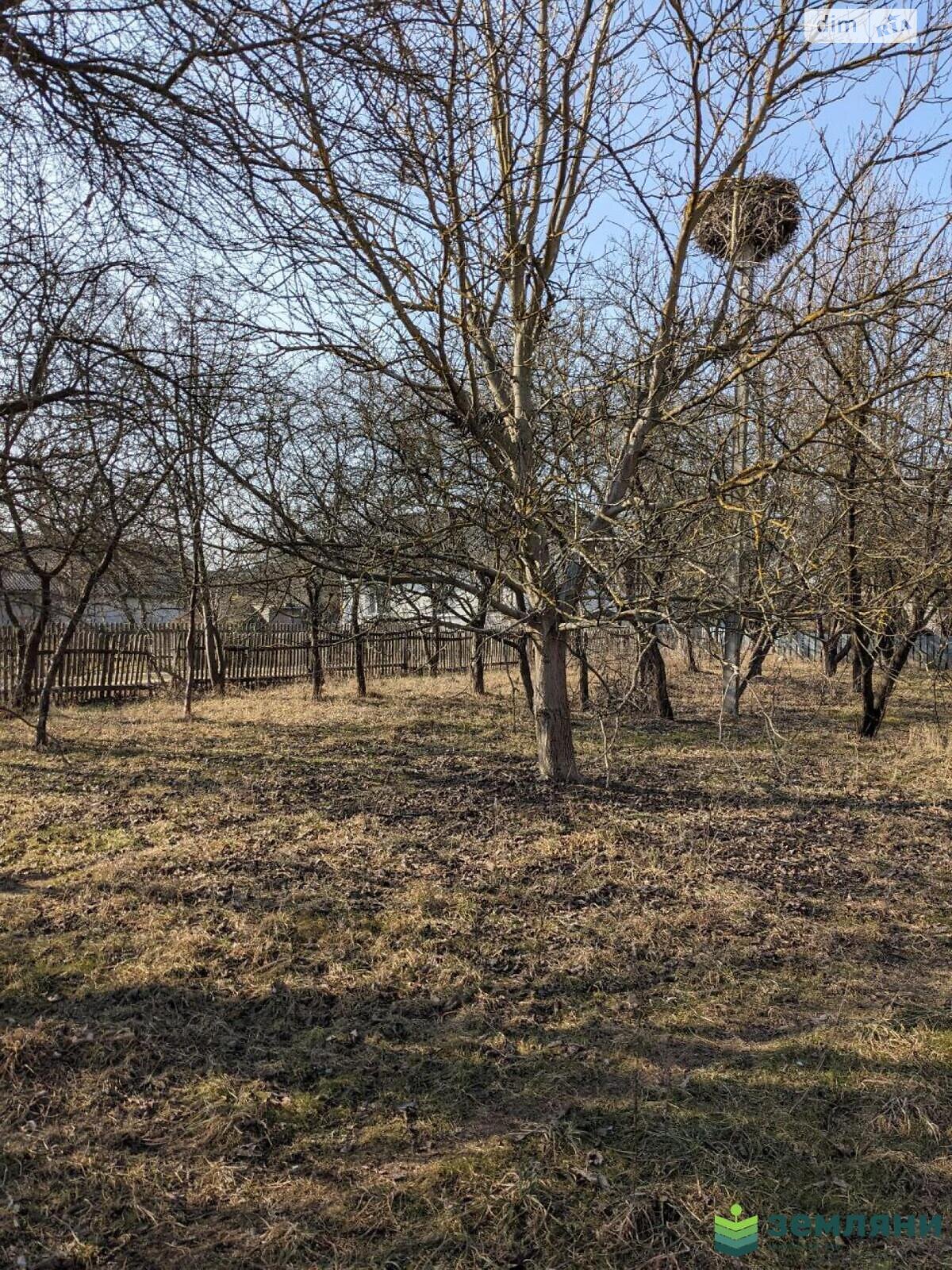 Земельна ділянка під житлову забудову в Загвізді, площа 21 сотка фото 1