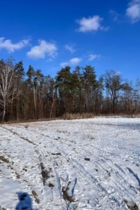 Земельна ділянка під житлову забудову в Заліссі, площа 11 соток фото 1