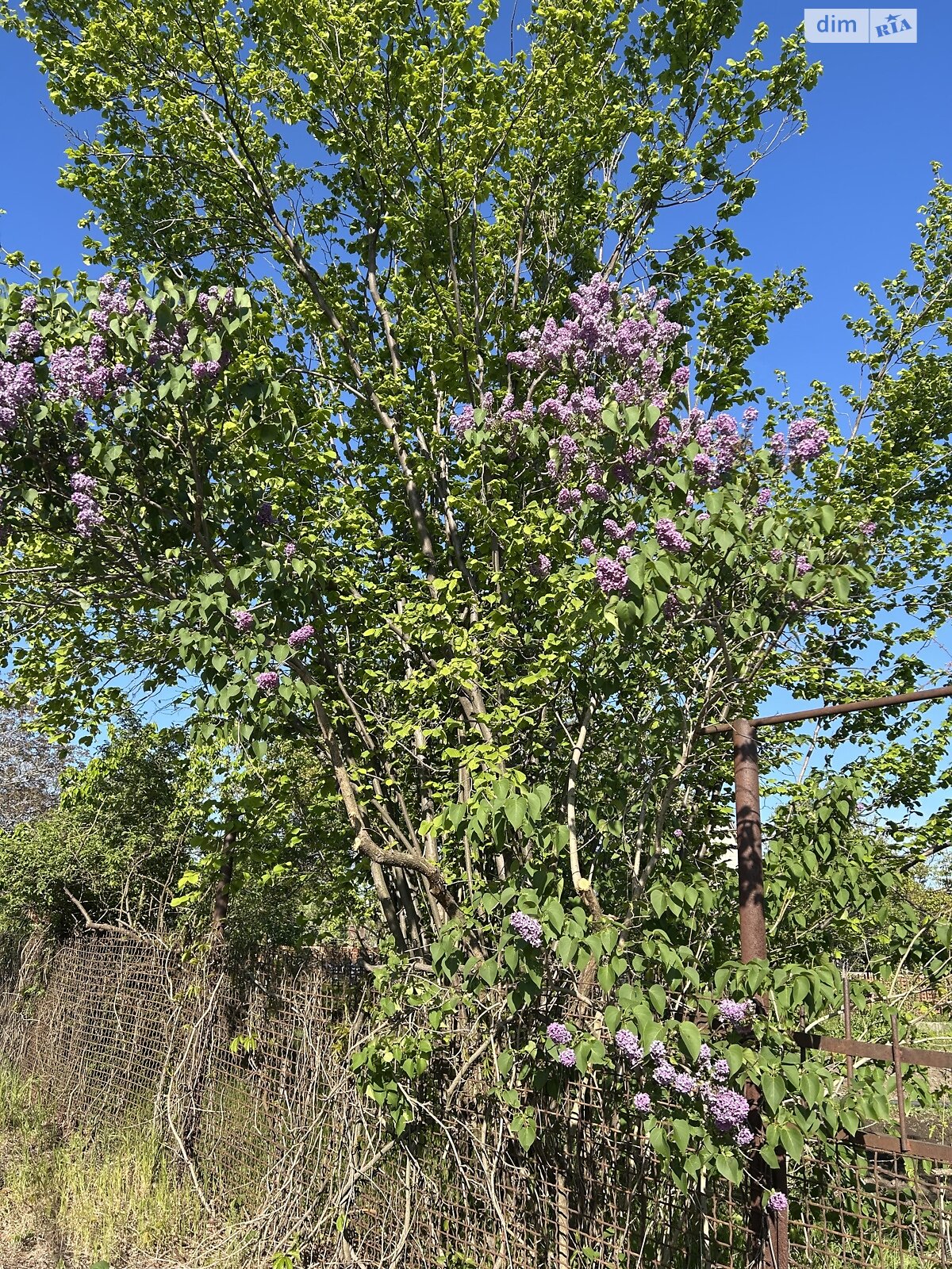 Земля під житлову забудову в Запоріжжі, район Великий Луг, площа 100 кв.м фото 1 Земля під житлову забудову в Запоріжжі, район Великий Луг, площа 100 кв.м фото 1