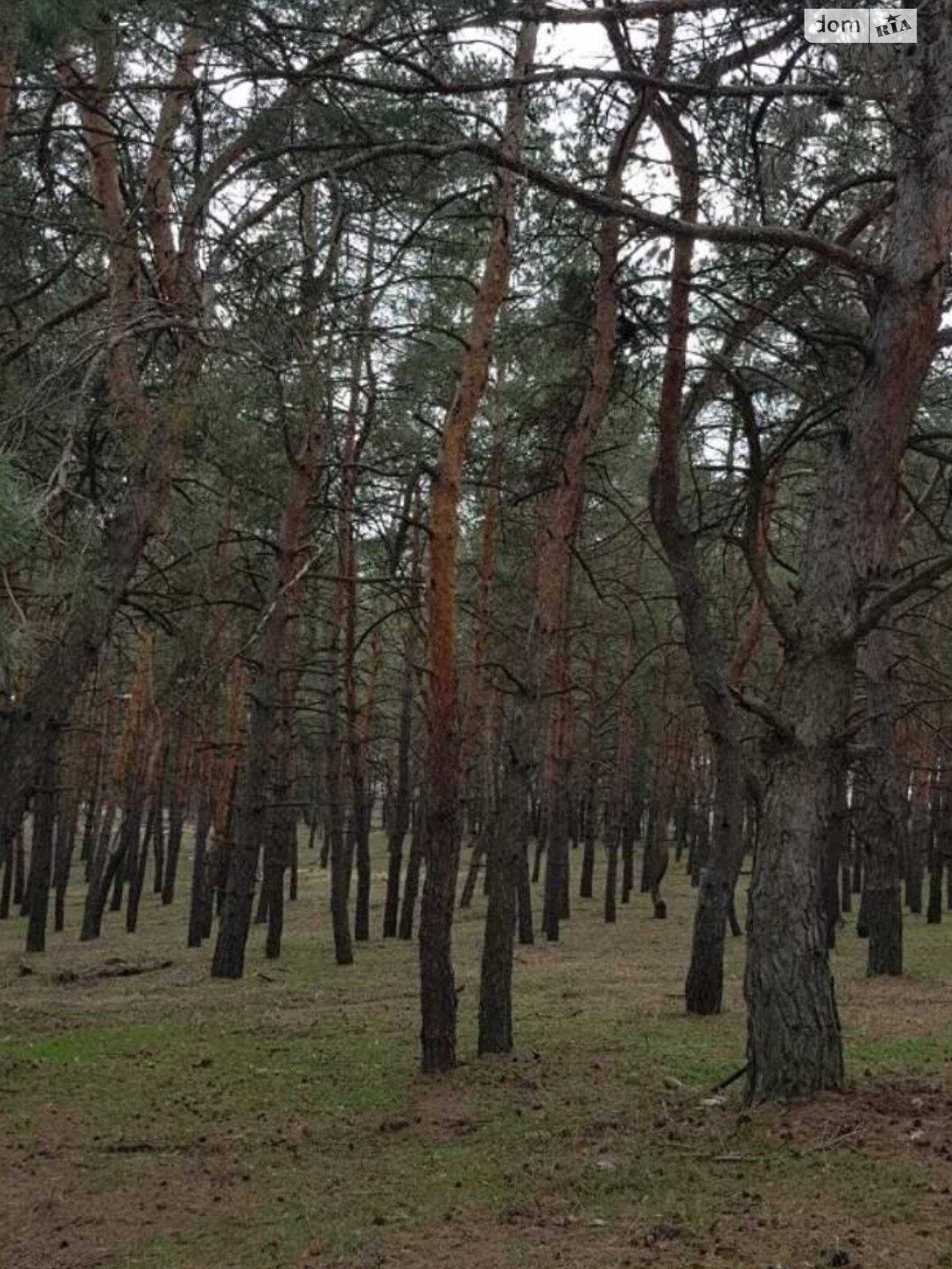 Земельный участок под жилую застройку в Каневском, площадь 1 сотка фото 1