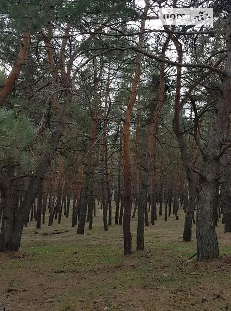 Земля под жилую застройку в селе Каневское, площадь 1 сотка фото 1 Земля под жилую застройку в селе Каневское, площадь 1 сотка фото 1