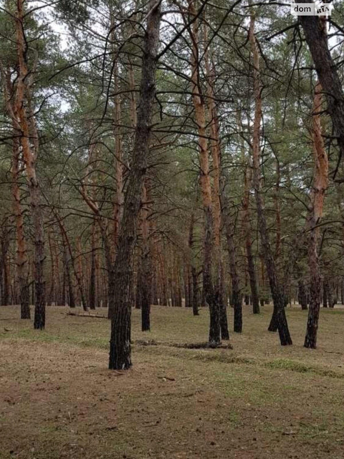 Земельный участок под жилую застройку в Каневском, площадь 1 сотка фото 1