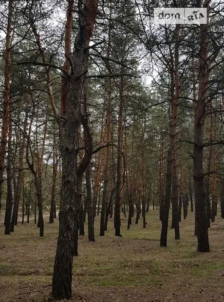 Земля под жилую застройку в селе Каневское, площадь 1 сотка фото 1 Земля под жилую застройку в селе Каневское, площадь 1 сотка фото 1