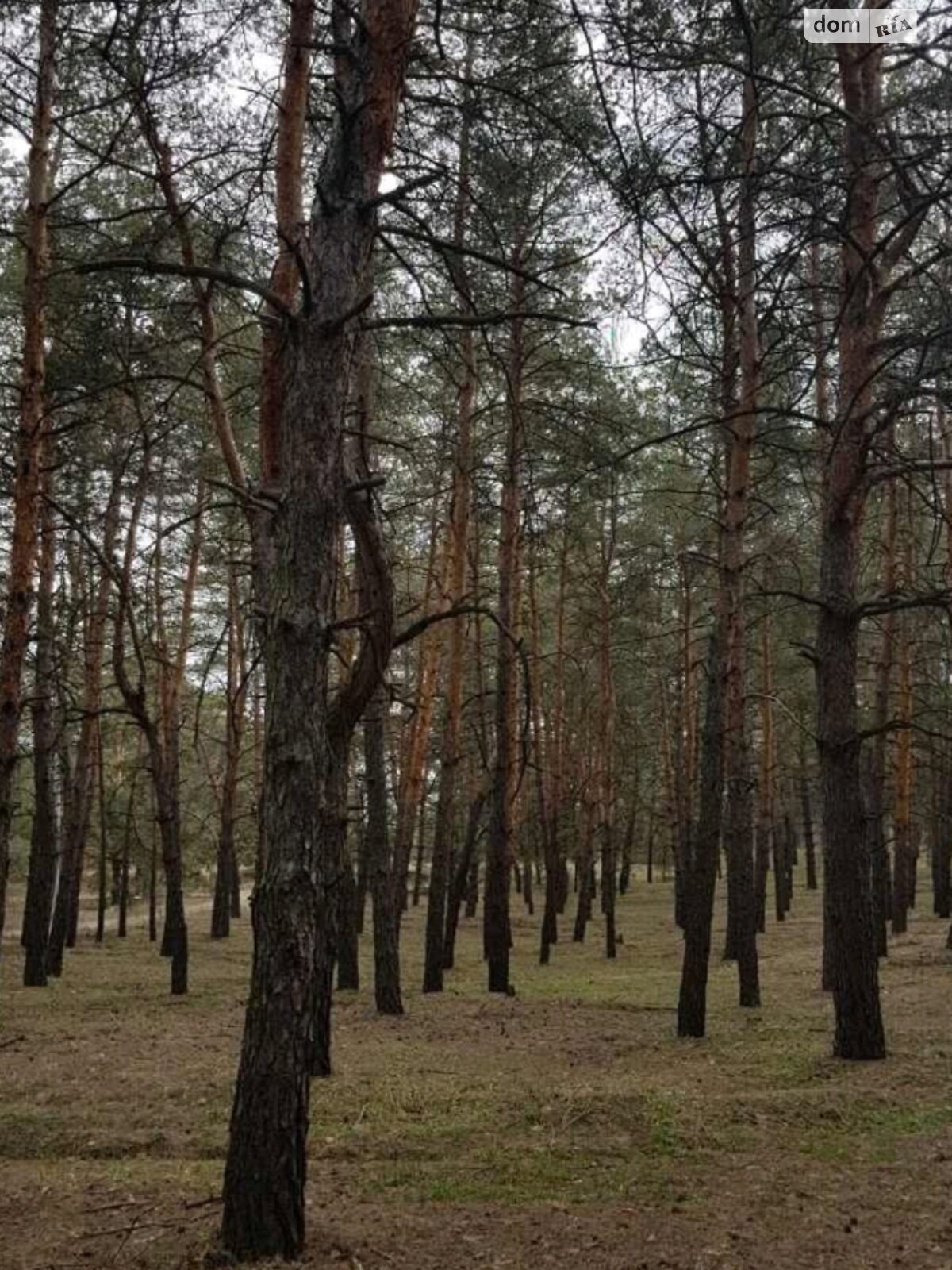 Земельный участок под жилую застройку в Каневском, площадь 1 сотка фото 1