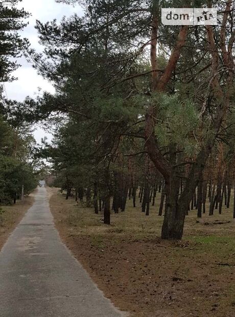 Земля под жилую застройку в селе Каневское, площадь 1 сотка фото 1 Земля под жилую застройку в селе Каневское, площадь 1 сотка фото 1