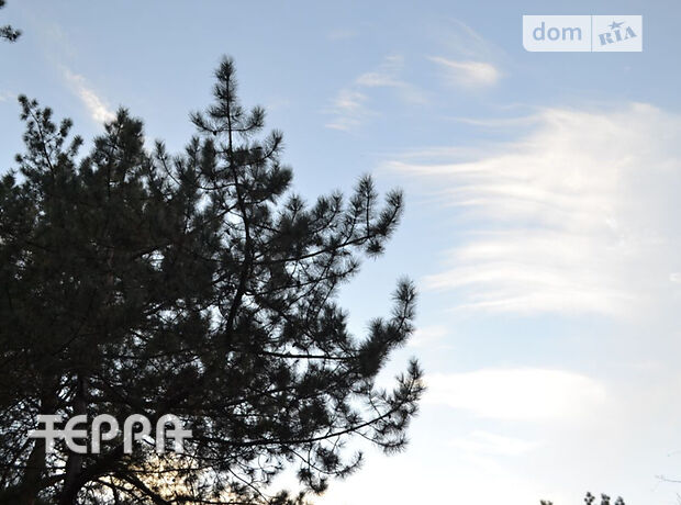 Земля под жилую застройку в селе Разумовка, площадь 23 сотки фото 1 Земля под жилую застройку в селе Разумовка, площадь 23 сотки фото 1