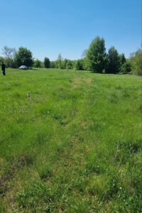 Земельный участок под жилую застройку в Новопетровке, площадь 25 соток фото 2