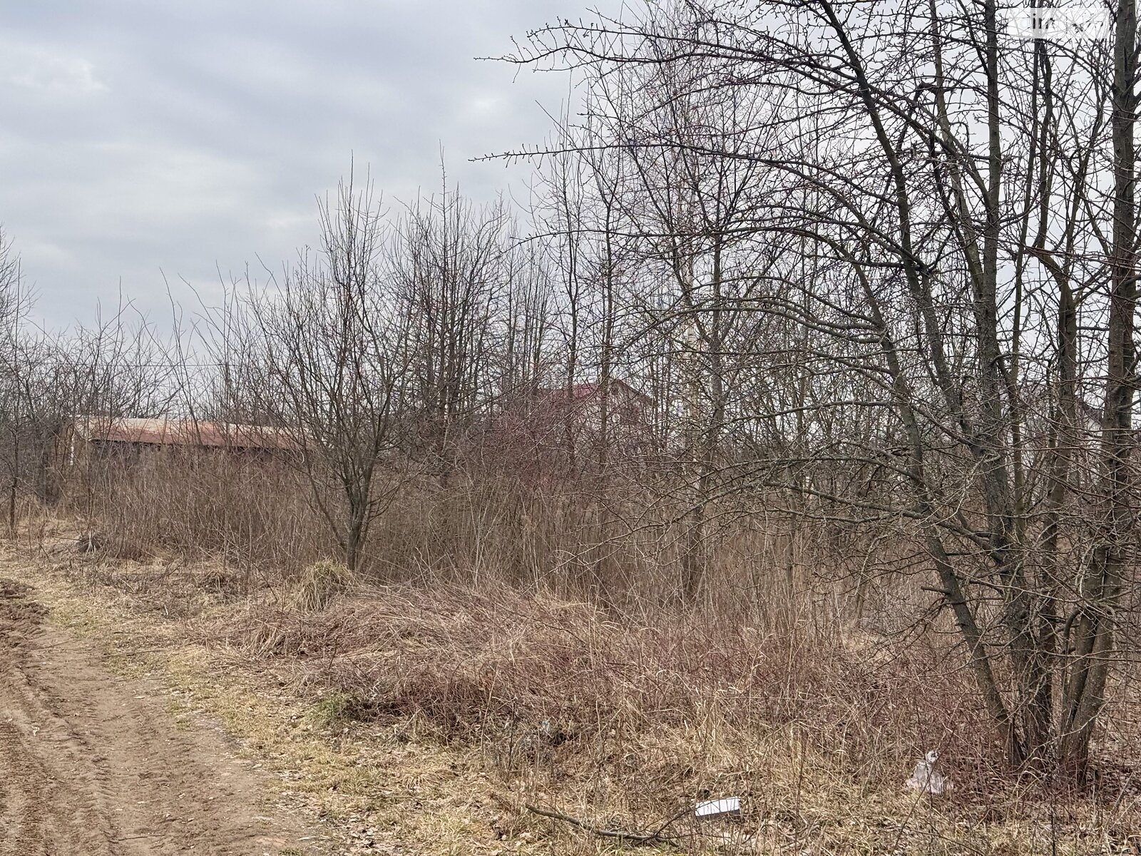 Земельна ділянка під житлову забудову в Зарванцях, площа 10 соток фото 1 Земельна ділянка під житлову забудову в Зарванцях, площа 10 соток фото 1