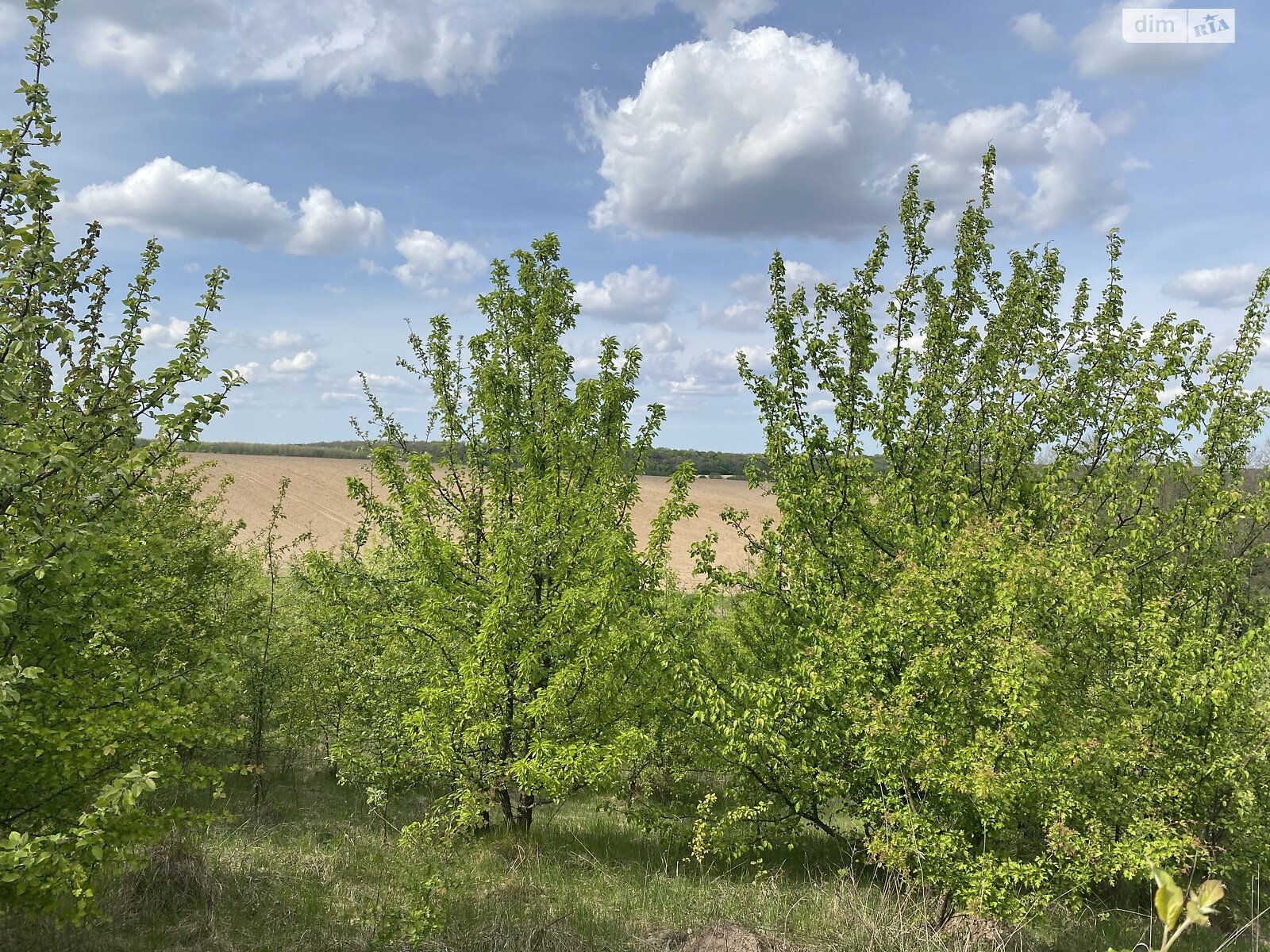 Земельна ділянка під житлову забудову в Зарванцях, площа 10 соток фото 1 Земельна ділянка під житлову забудову в Зарванцях, площа 10 соток фото 1
