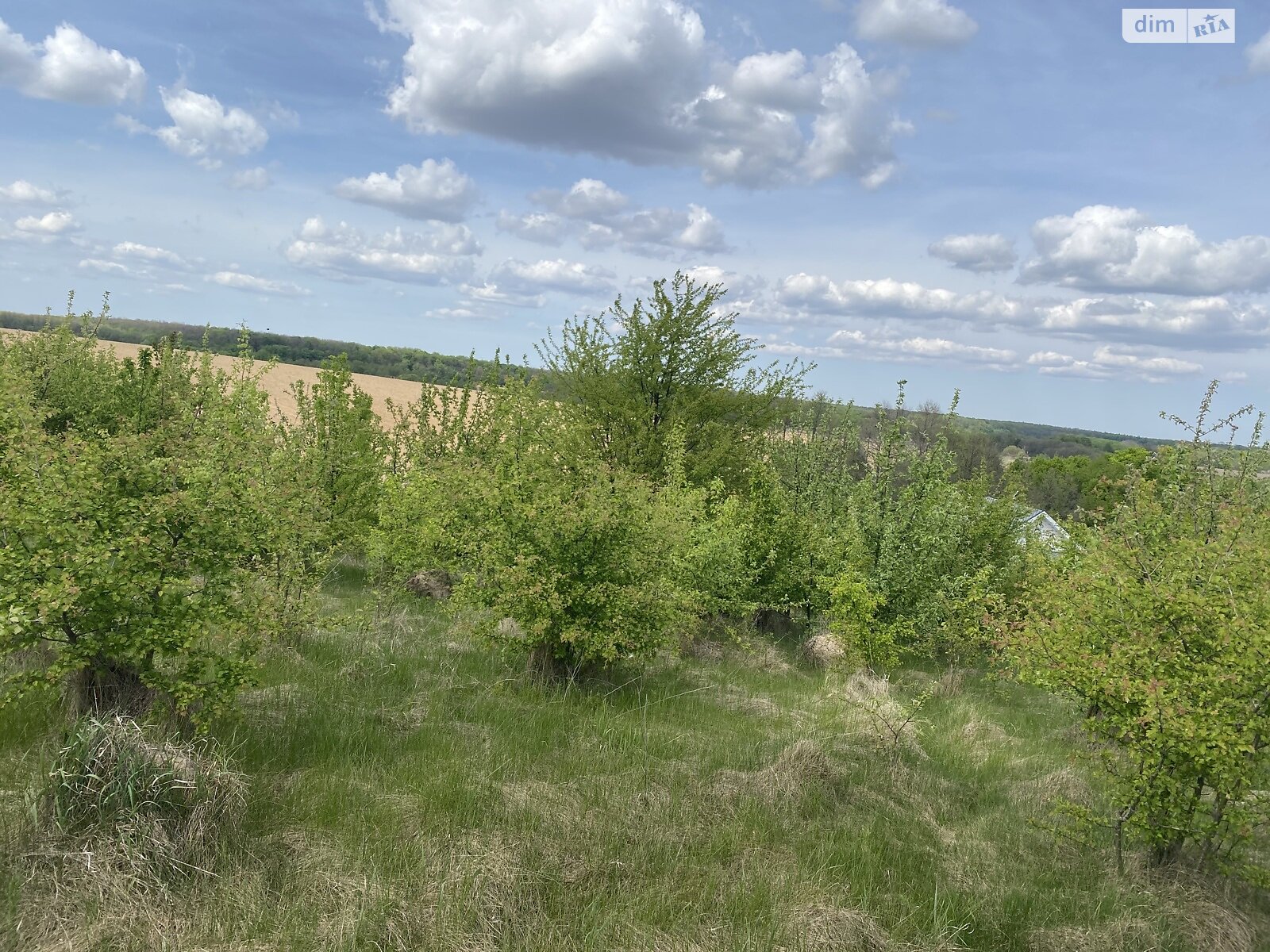 Земельна ділянка під житлову забудову в Зарванцях, площа 10 соток фото 1 Земельна ділянка під житлову забудову в Зарванцях, площа 10 соток фото 1