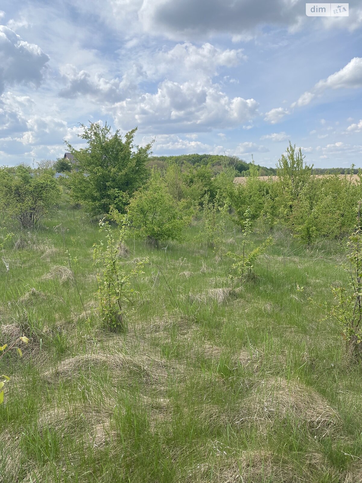 Земельна ділянка під житлову забудову в Зарванцях, площа 10 соток фото 1 Земельна ділянка під житлову забудову в Зарванцях, площа 10 соток фото 1
