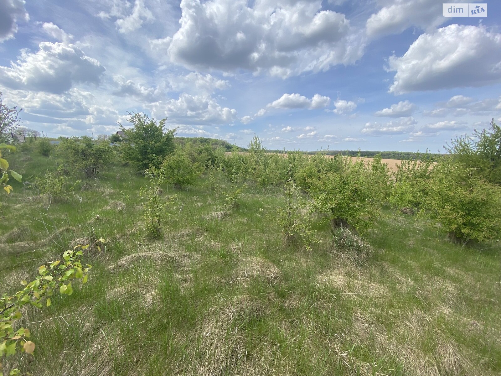 Земельна ділянка під житлову забудову в Зарванцях, площа 10 соток фото 1 Земельна ділянка під житлову забудову в Зарванцях, площа 10 соток фото 1