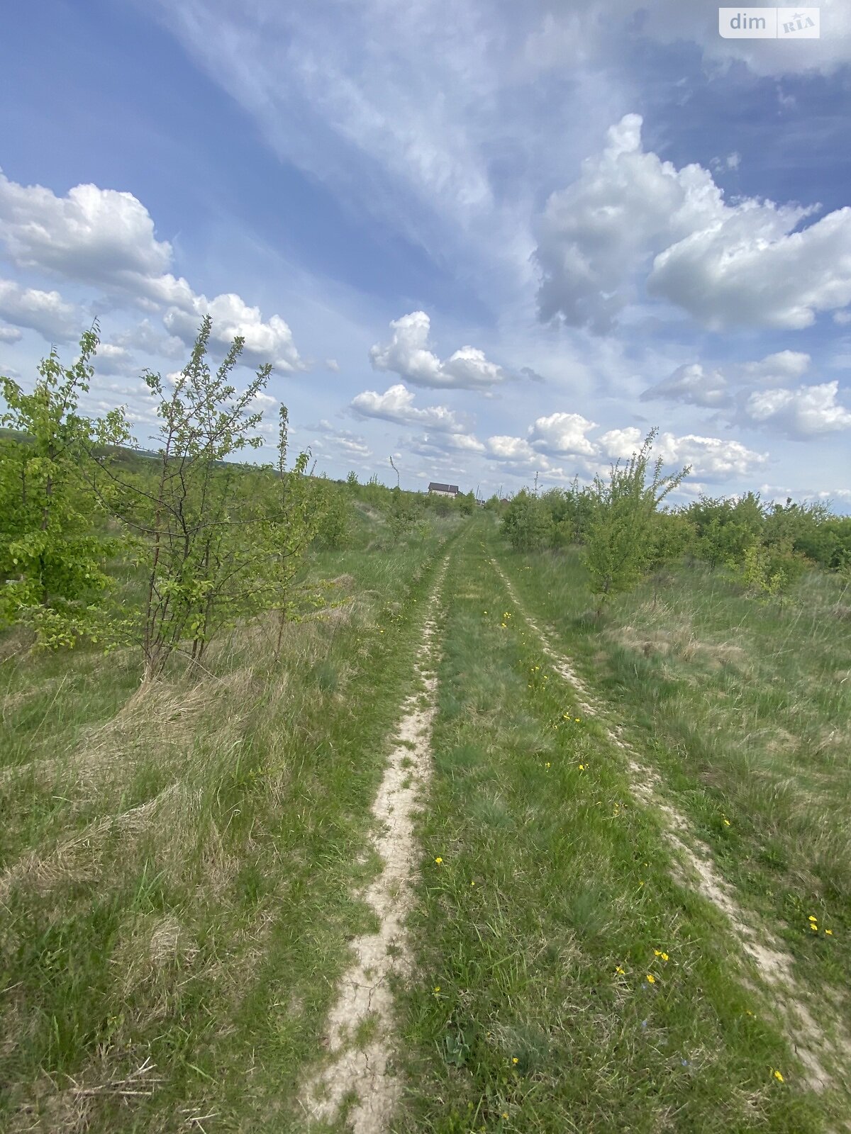 Земельна ділянка під житлову забудову в Зарванцях, площа 10 соток фото 1 Земельна ділянка під житлову забудову в Зарванцях, площа 10 соток фото 1