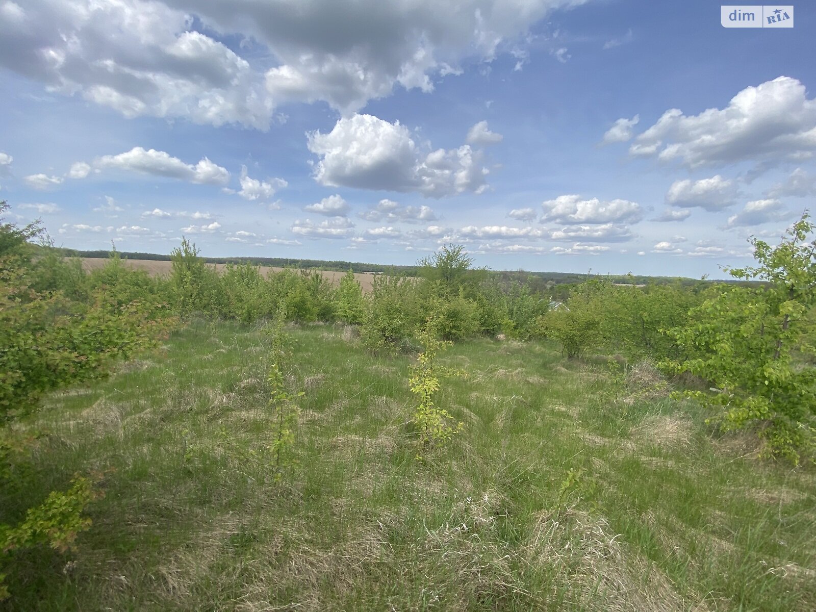 Земельна ділянка під житлову забудову в Зарванцях, площа 10 соток фото 1 Земельна ділянка під житлову забудову в Зарванцях, площа 10 соток фото 1