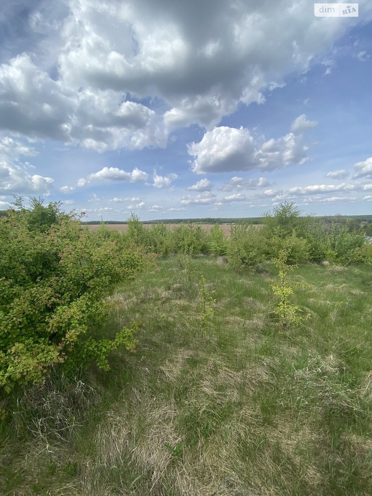 Земельна ділянка під житлову забудову в Зарванцях, площа 10 соток фото 1 Земельна ділянка під житлову забудову в Зарванцях, площа 10 соток фото 1