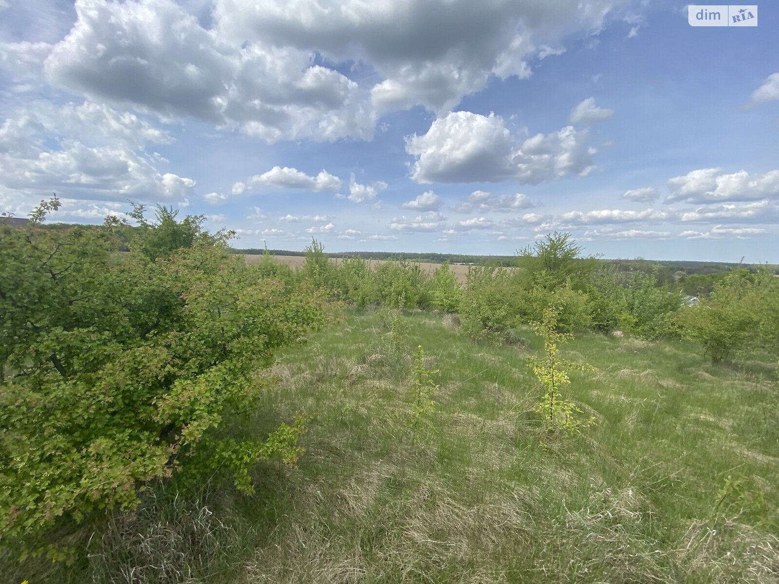 Земельна ділянка під житлову забудову в Зарванцях, площа 10 соток фото 1 Земельна ділянка під житлову забудову в Зарванцях, площа 10 соток фото 1