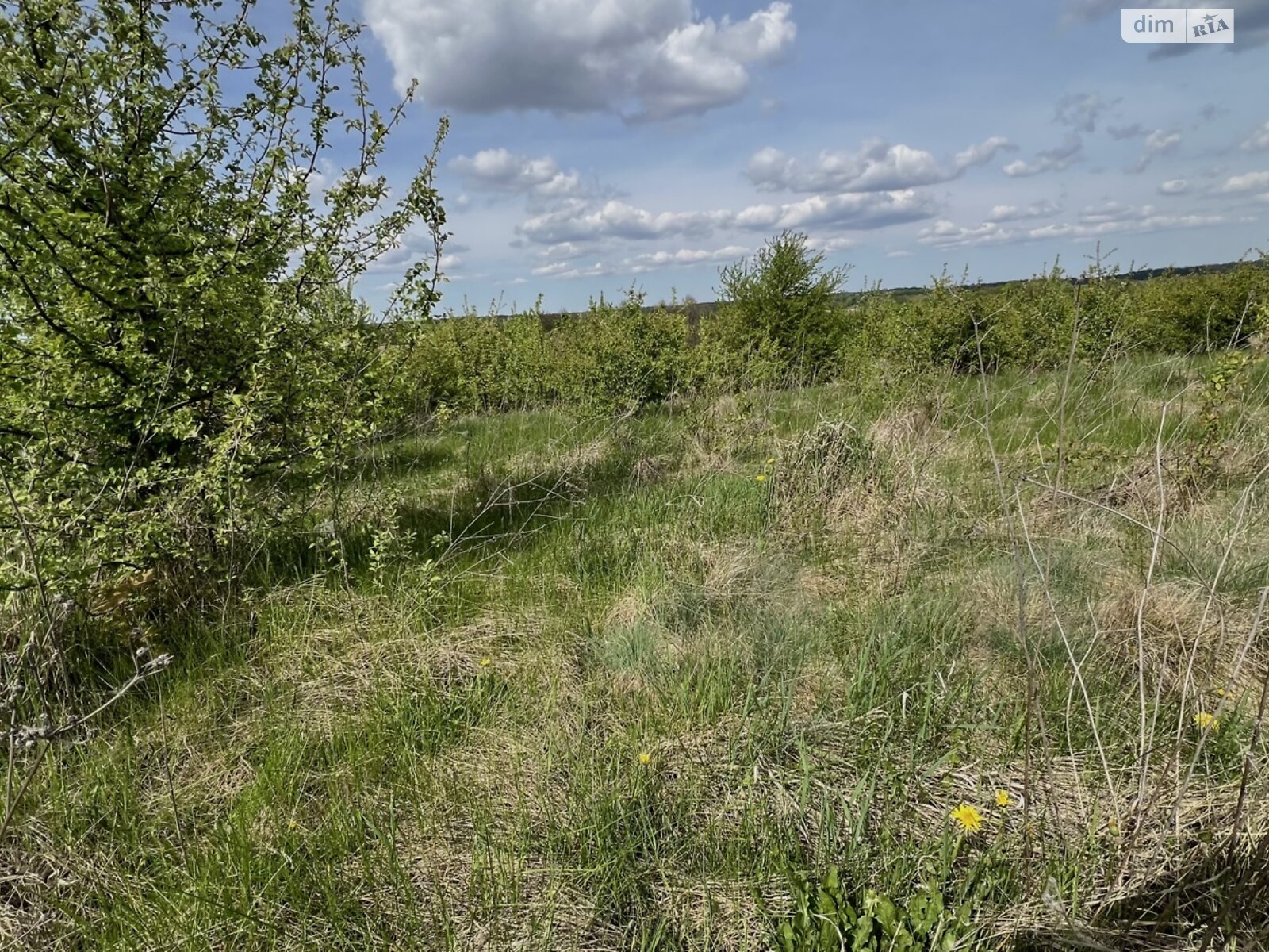 Земельна ділянка під житлову забудову в Зарванцях, площа 10 соток фото 1 Земельна ділянка під житлову забудову в Зарванцях, площа 10 соток фото 1