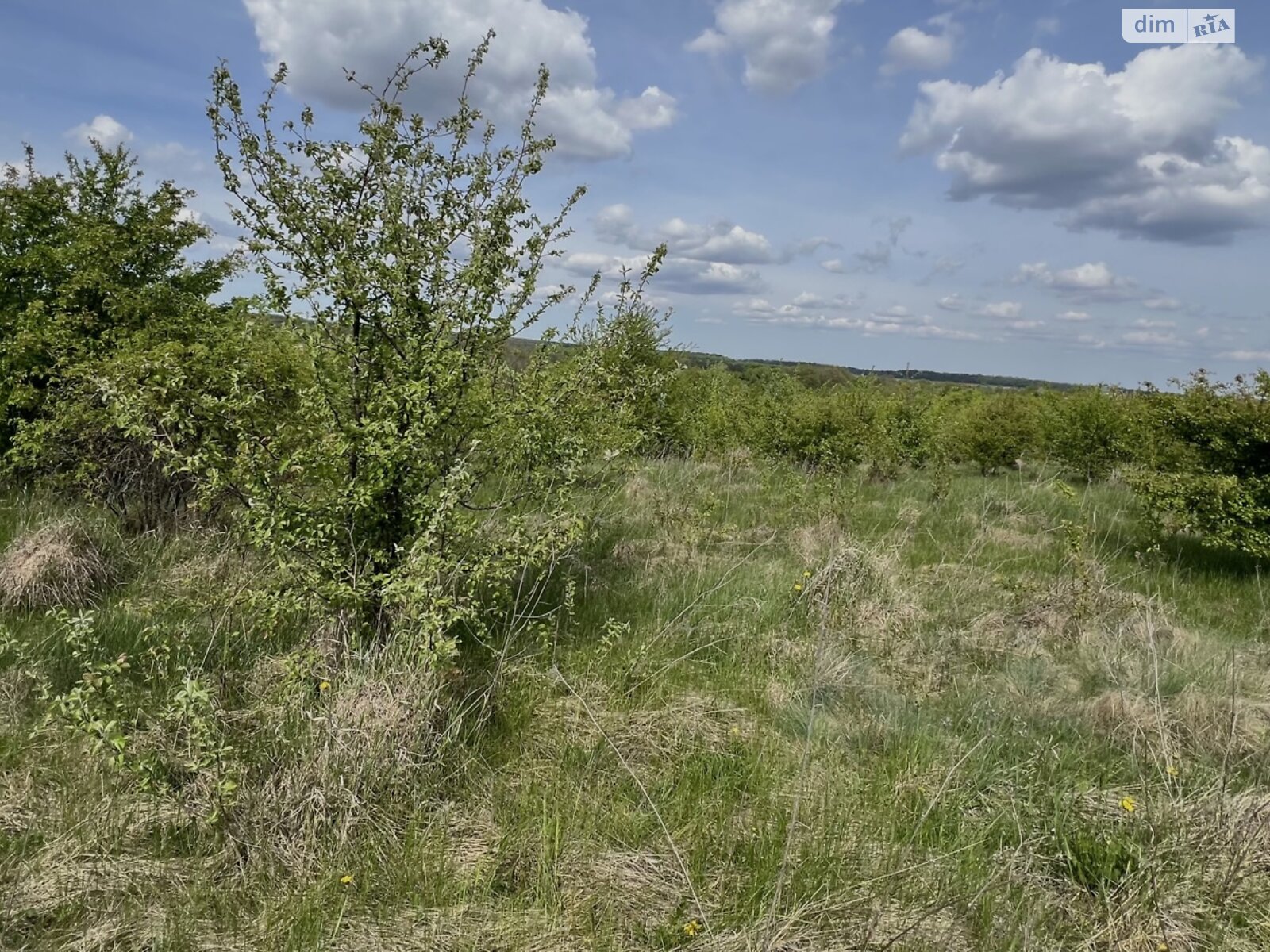 Земельна ділянка під житлову забудову в Зарванцях, площа 10 соток фото 1 Земельна ділянка під житлову забудову в Зарванцях, площа 10 соток фото 1