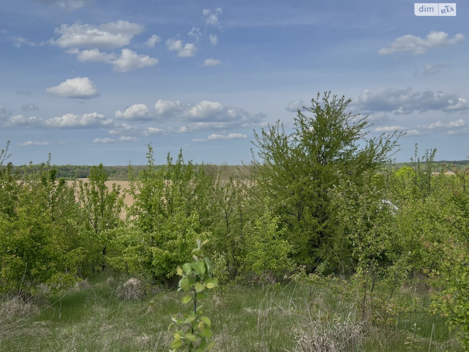 Земельна ділянка під житлову забудову в Зарванцях, площа 10 соток фото 1 Земельна ділянка під житлову забудову в Зарванцях, площа 10 соток фото 1