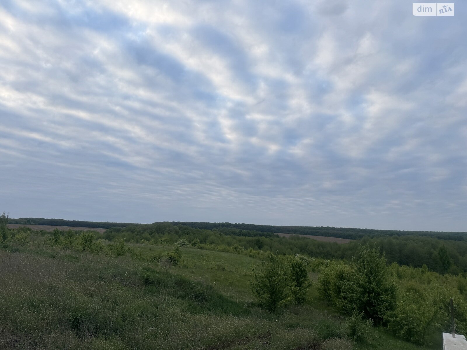 Земельна ділянка під житлову забудову в Зарванцях, площа 90 соток фото 1 Земельна ділянка під житлову забудову в Зарванцях, площа 90 соток фото 1