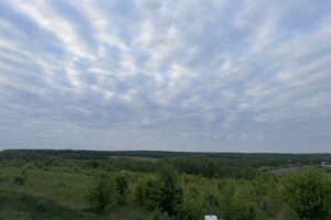 Земельна ділянка під житлову забудову в Зарванцях, площа 90 соток фото 2