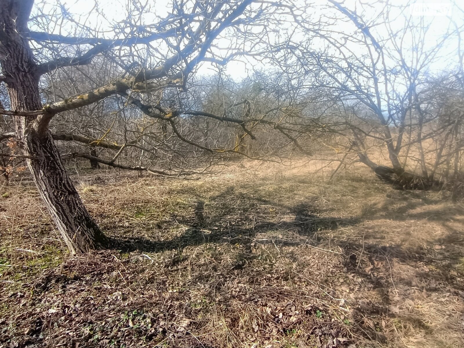 Земельна ділянка під житлову забудову в Зарванцях, площа 56 соток фото 1 Земельна ділянка під житлову забудову в Зарванцях, площа 56 соток фото 1