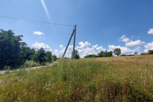 Земельна ділянка під житлову забудову в Зарванцях, площа 12.5 сотки фото 2