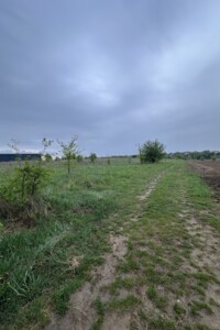 Земельный участок под жилую застройку в Зарванцах, площадь 20 соток фото 2