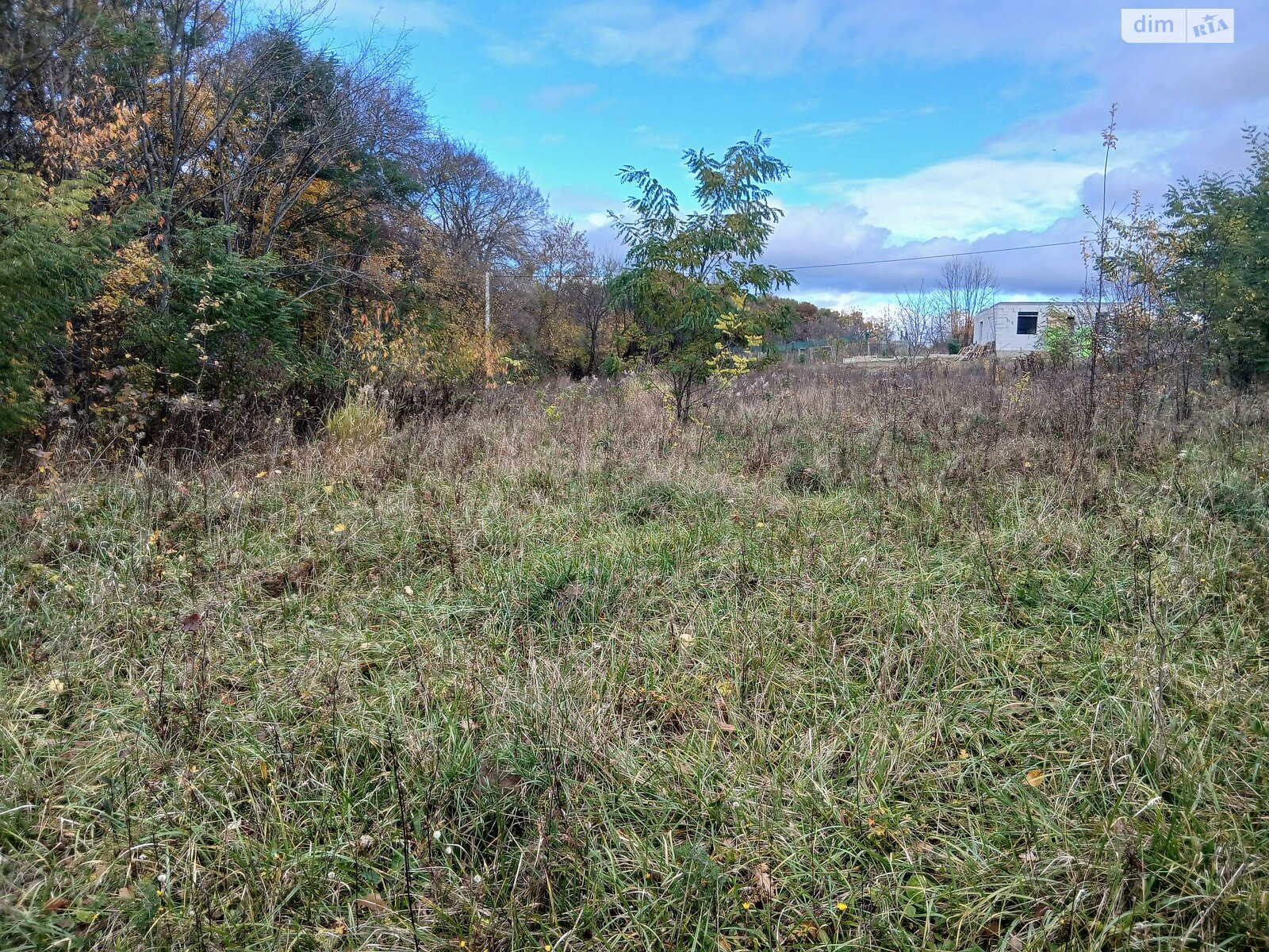 Земельный участок под жилую застройку в Зарванцах, площадь 25 соток фото 1 Земельный участок под жилую застройку в Зарванцах, площадь 25 соток фото 1