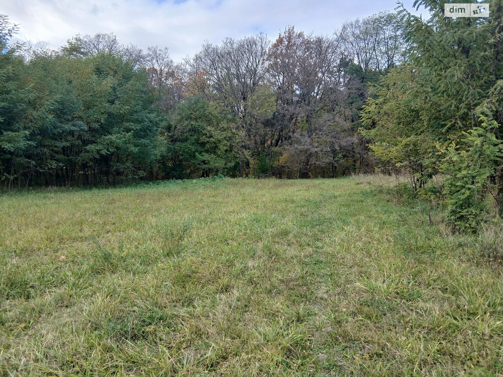 Земельный участок под жилую застройку в Зарванцах, площадь 25 соток фото 1 Земельный участок под жилую застройку в Зарванцах, площадь 25 соток фото 1