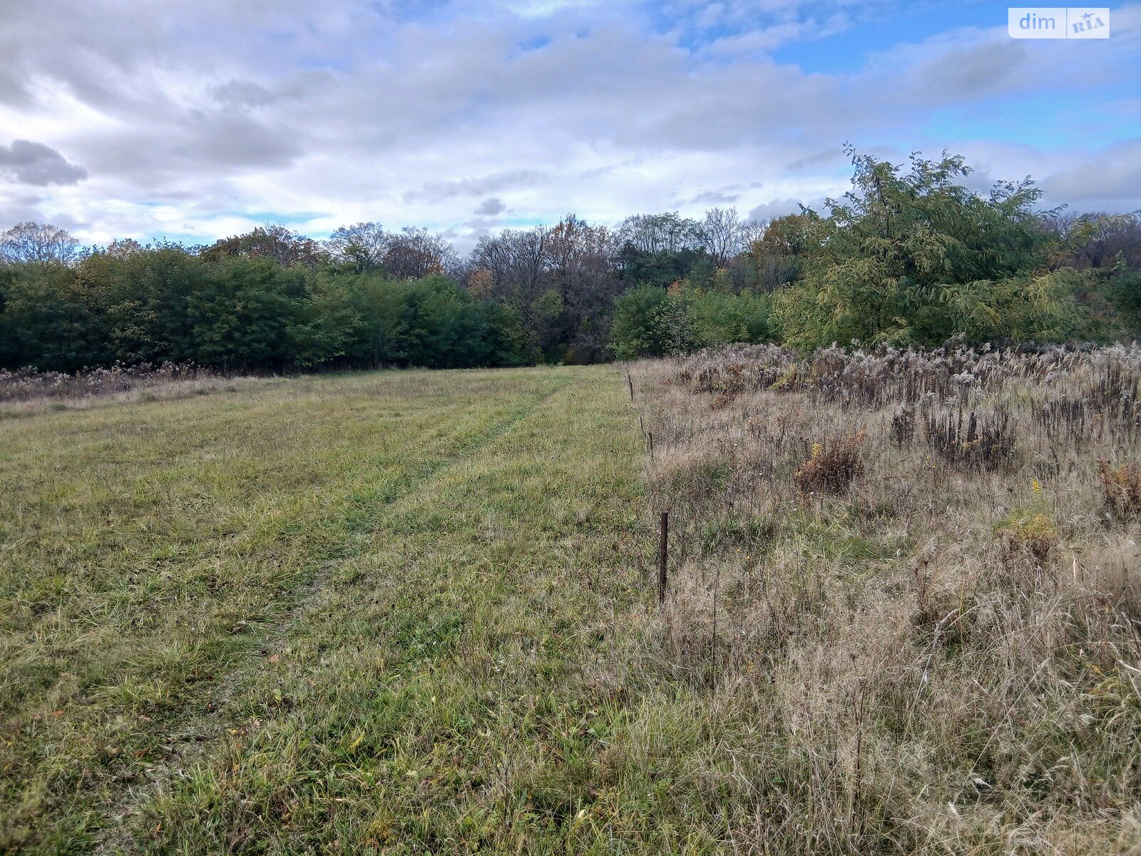 Земельный участок под жилую застройку в Зарванцах, площадь 25 соток фото 1 Земельный участок под жилую застройку в Зарванцах, площадь 25 соток фото 1