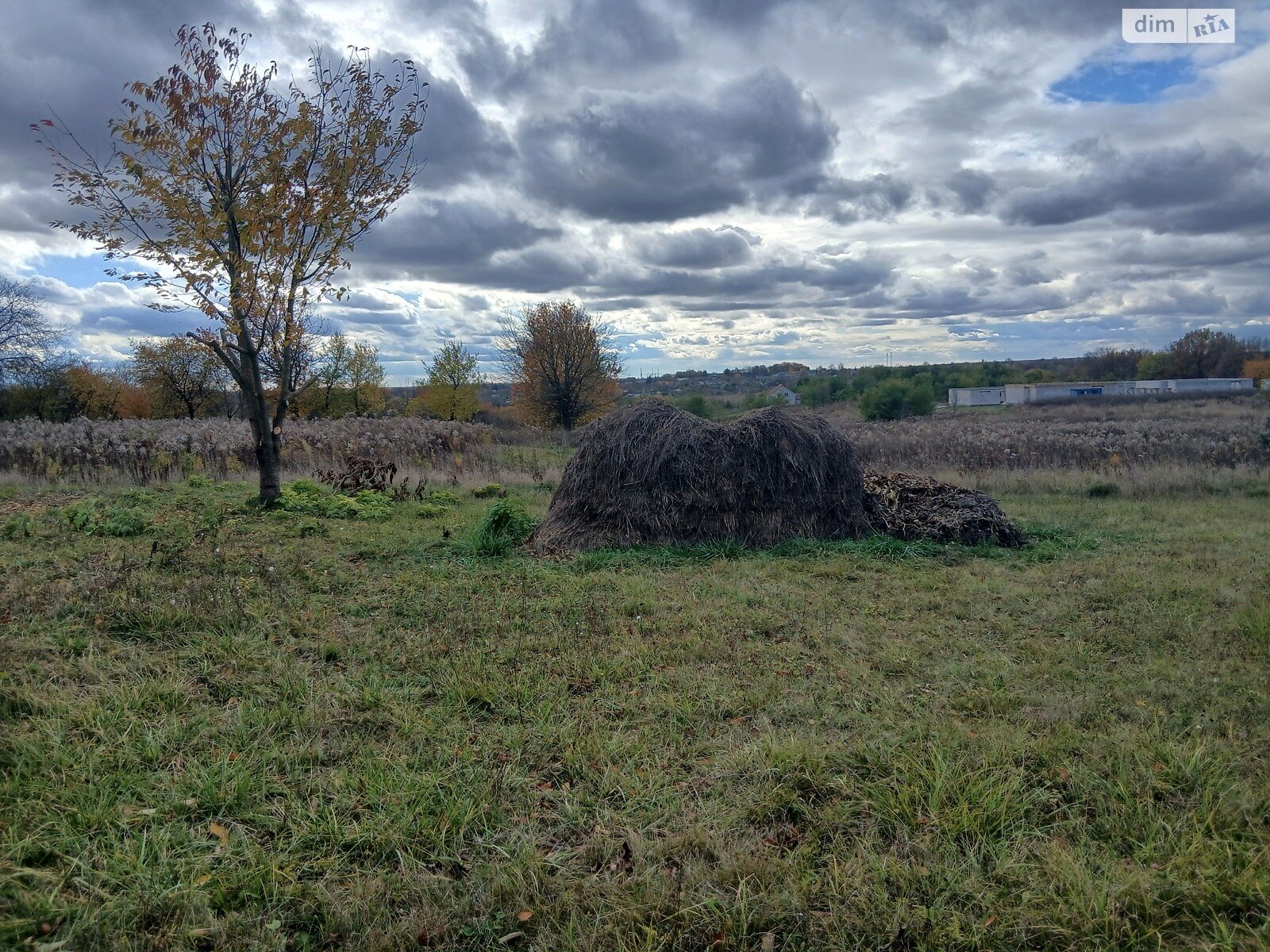 Земельный участок под жилую застройку в Зарванцах, площадь 25 соток фото 1 Земельный участок под жилую застройку в Зарванцах, площадь 25 соток фото 1