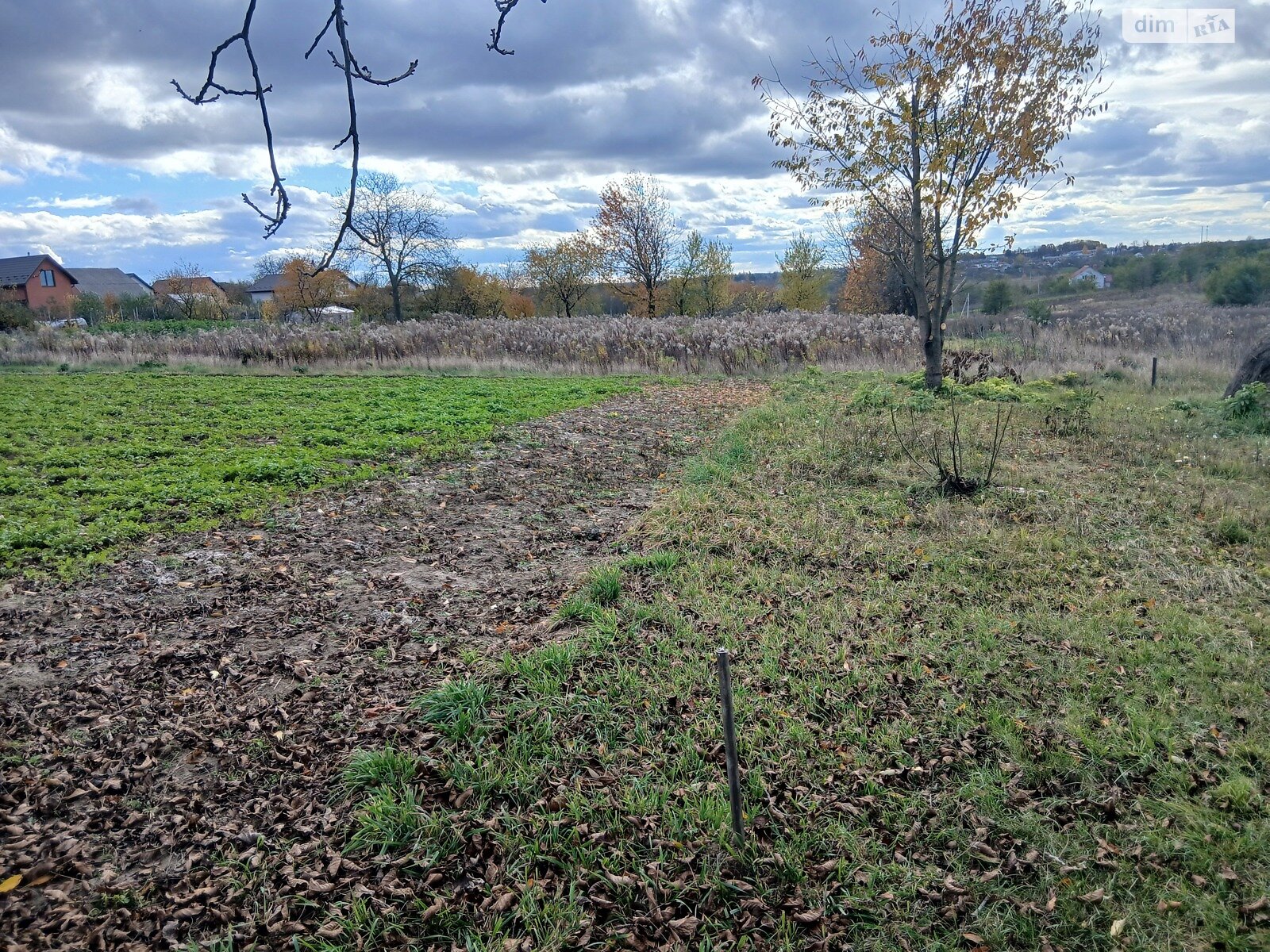Земельный участок под жилую застройку в Зарванцах, площадь 25 соток фото 1 Земельный участок под жилую застройку в Зарванцах, площадь 25 соток фото 1