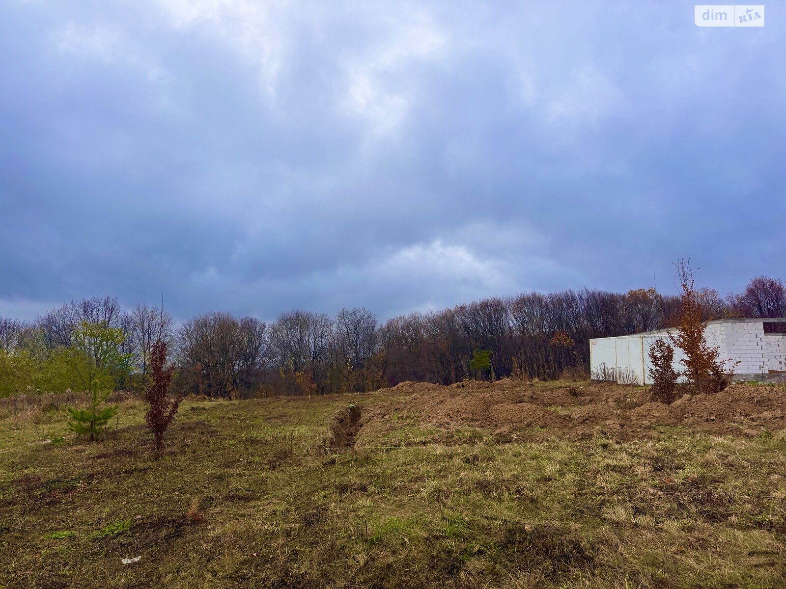 Земельный участок под жилую застройку в Зарванцах, площадь 45 соток фото 1