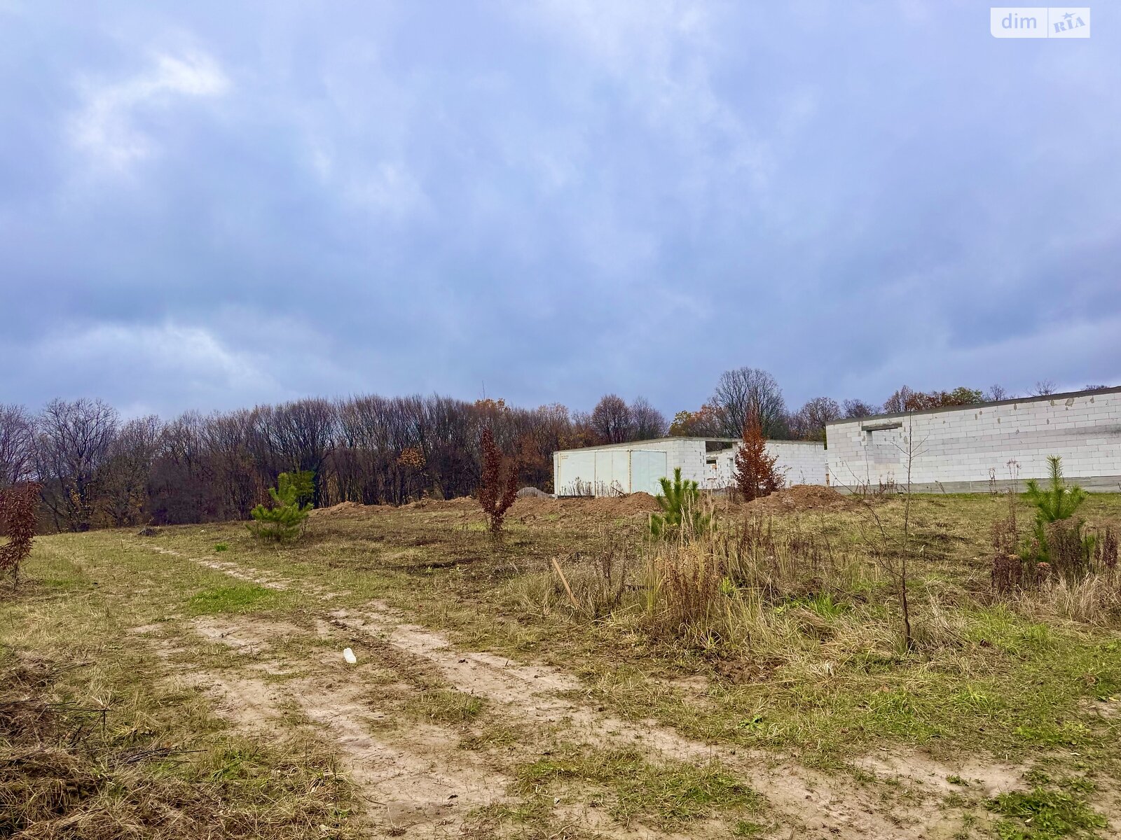 Земельный участок под жилую застройку в Зарванцах, площадь 45 соток фото 1