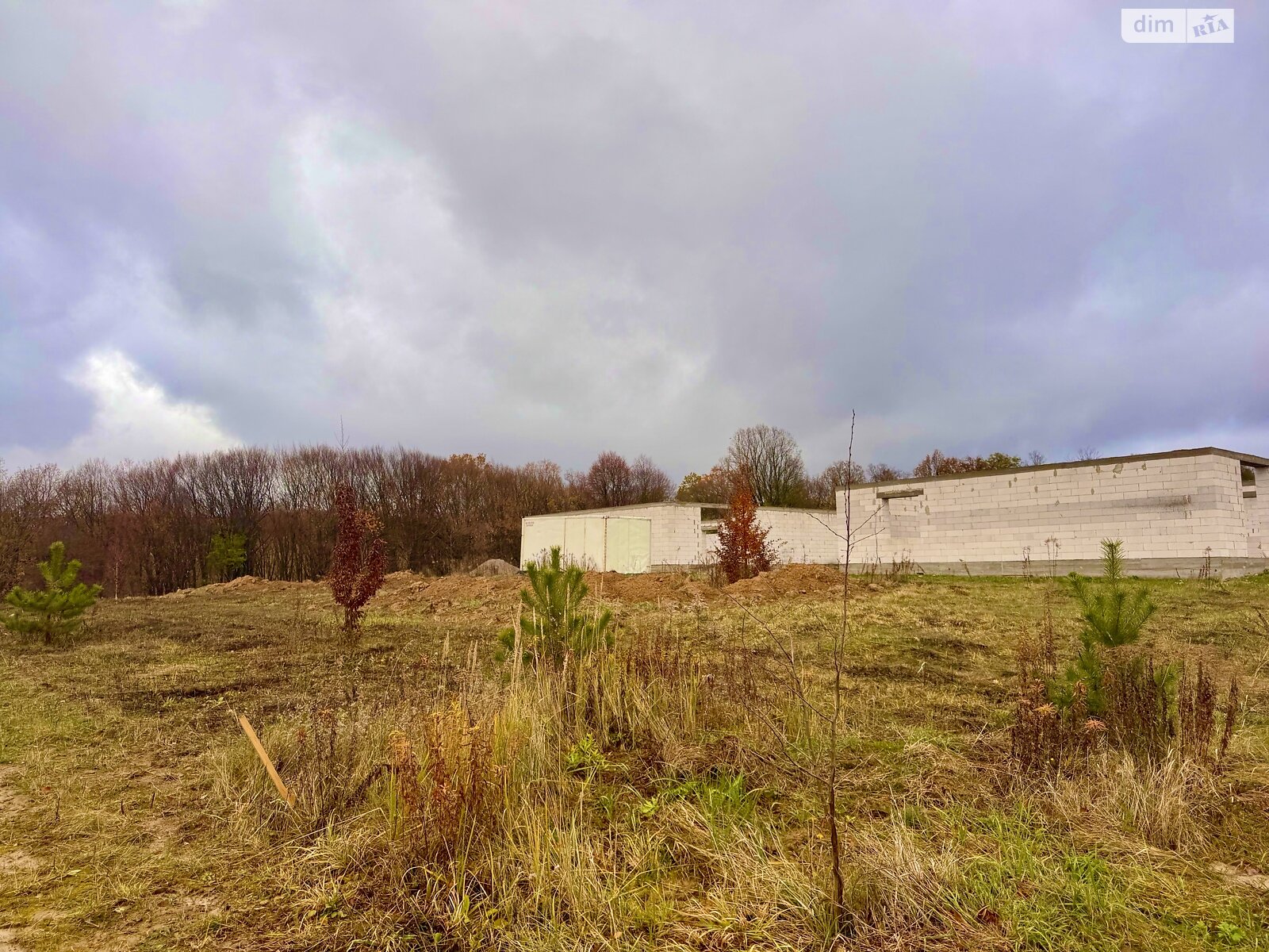 Земельный участок под жилую застройку в Зарванцах, площадь 45 соток фото 1