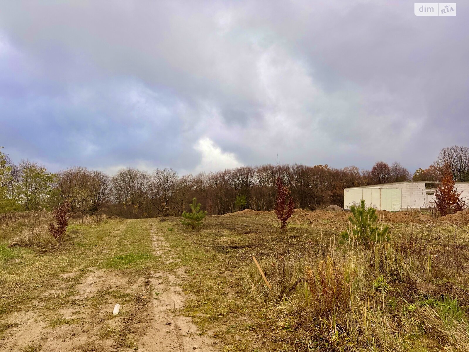 Земельный участок под жилую застройку в Зарванцах, площадь 45 соток фото 1