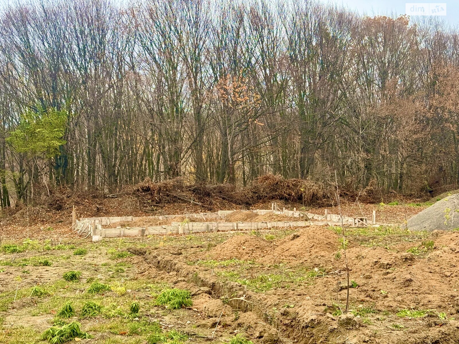 Земельный участок под жилую застройку в Зарванцах, площадь 45 соток фото 1