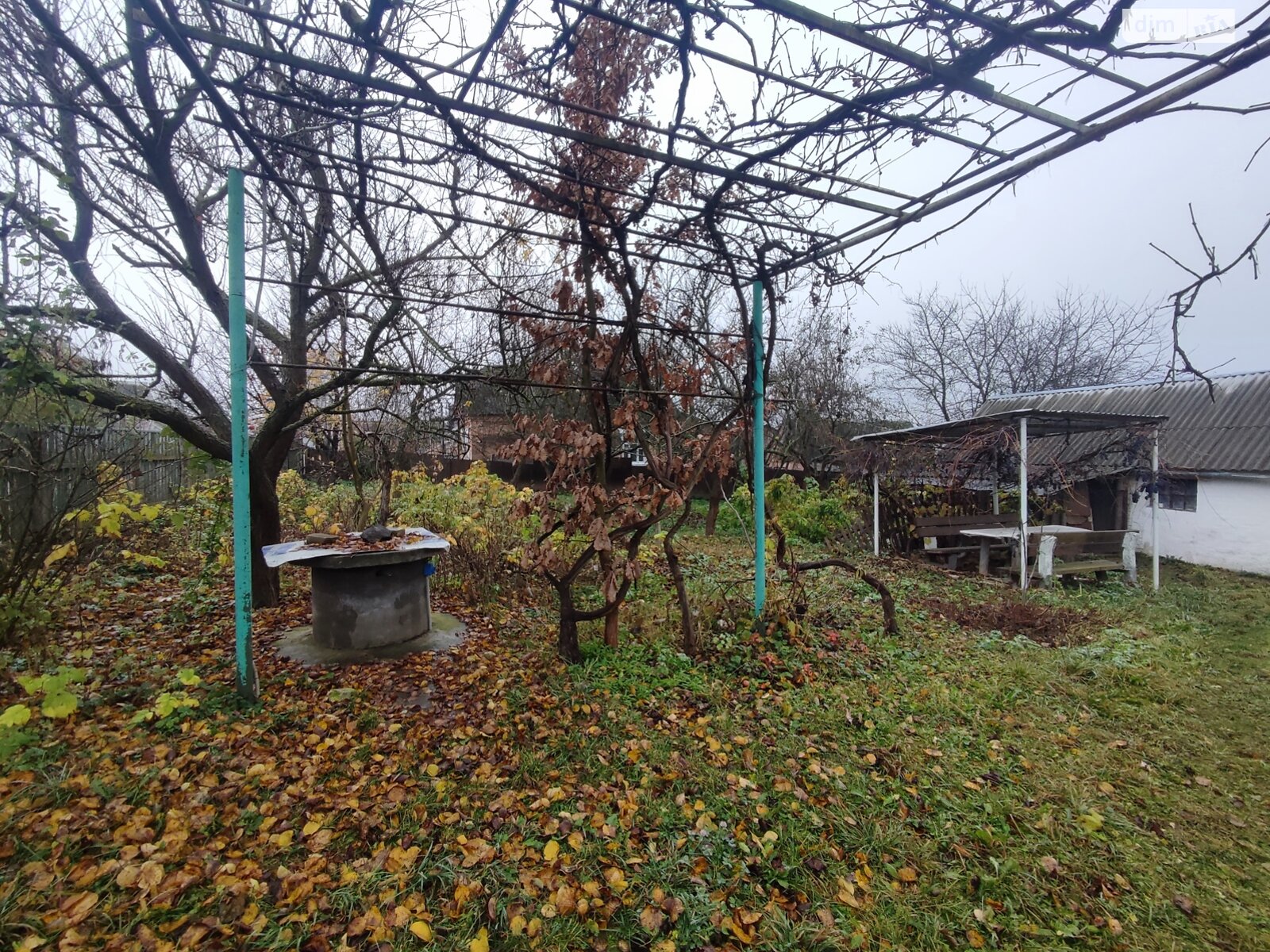 Земельный участок под жилую застройку в Зарванцах, площадь 60 соток фото 1