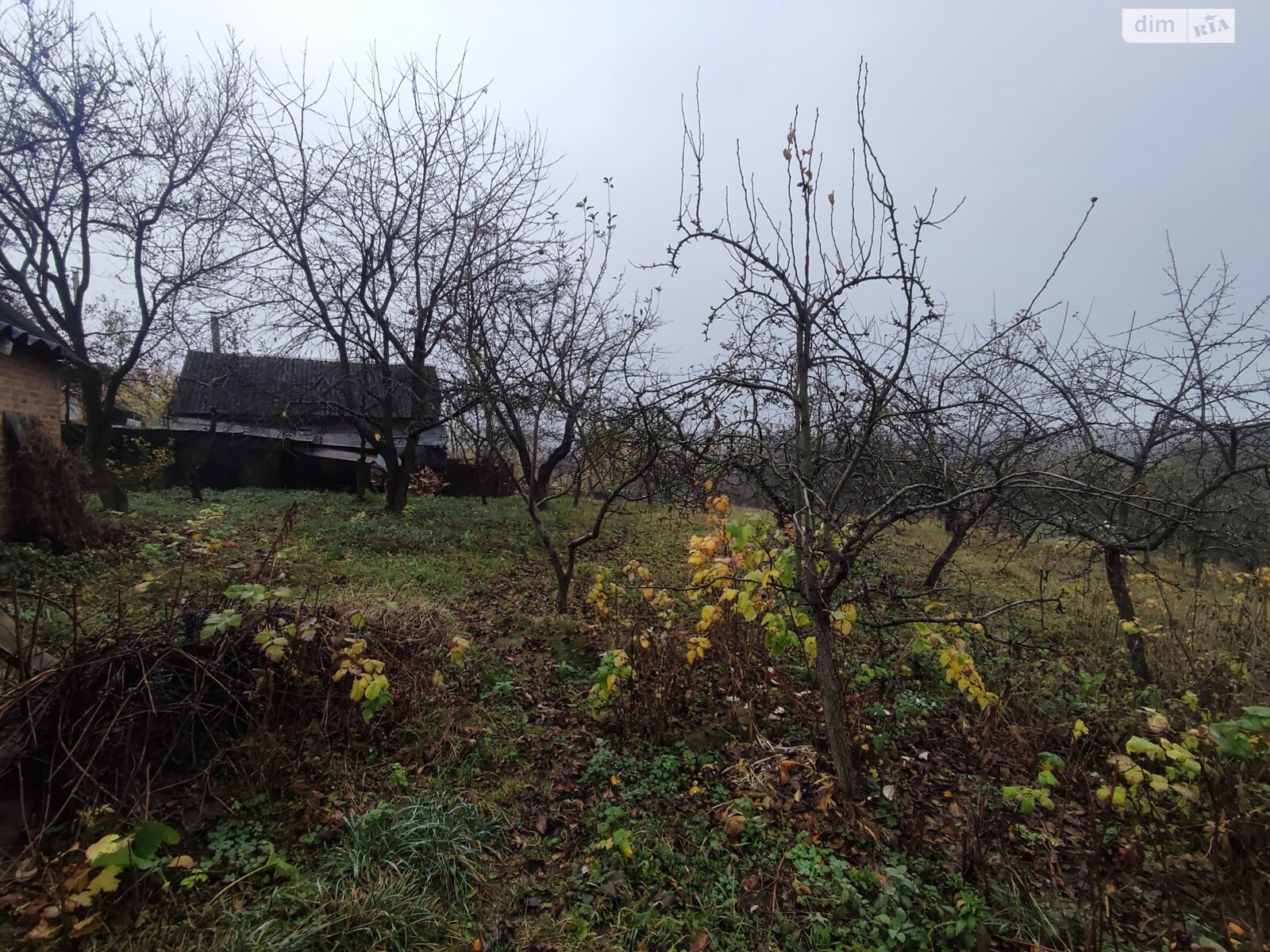 Земельный участок под жилую застройку в Зарванцах, площадь 60 соток фото 1