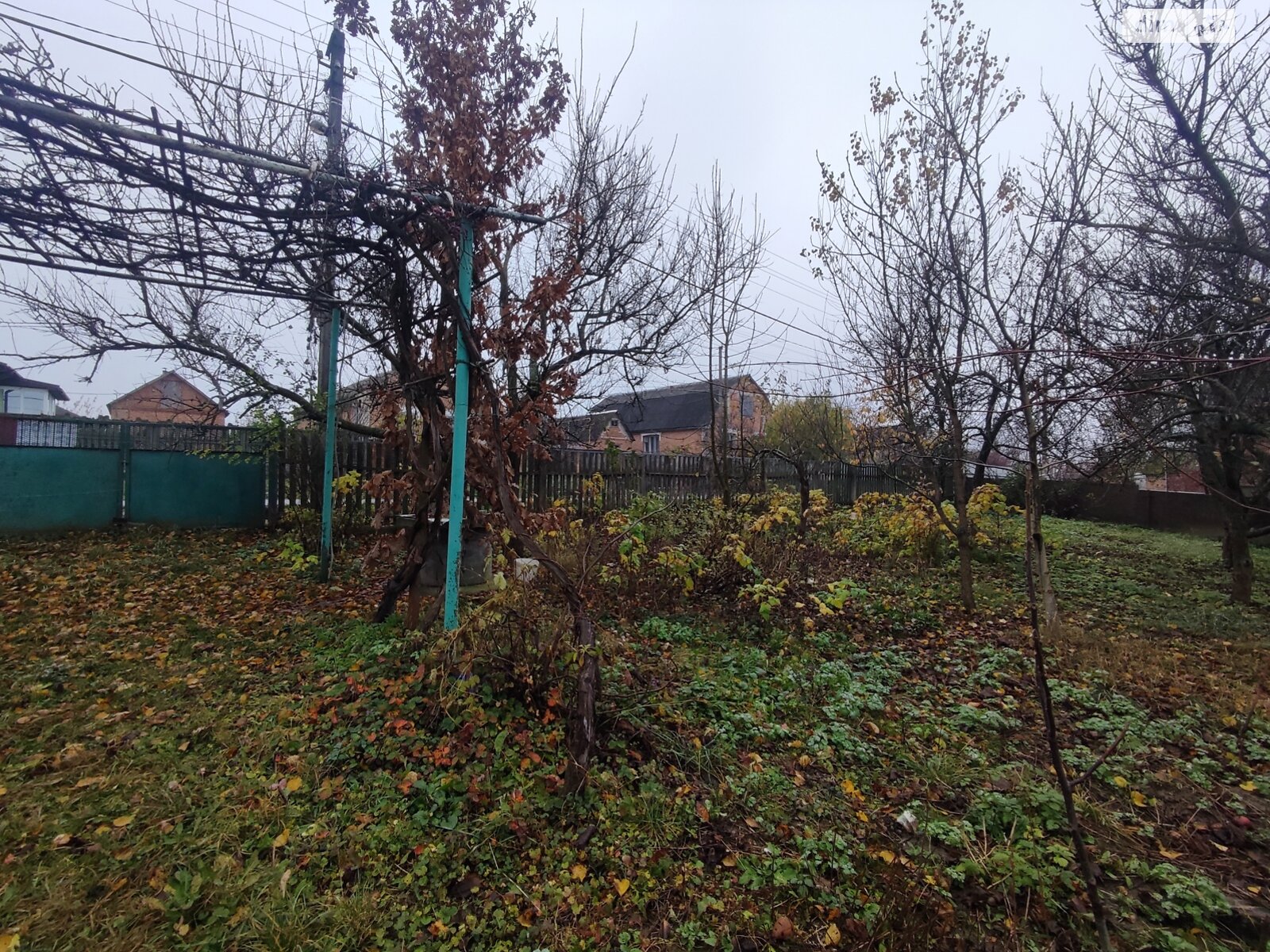 Земельный участок под жилую застройку в Зарванцах, площадь 60 соток фото 1