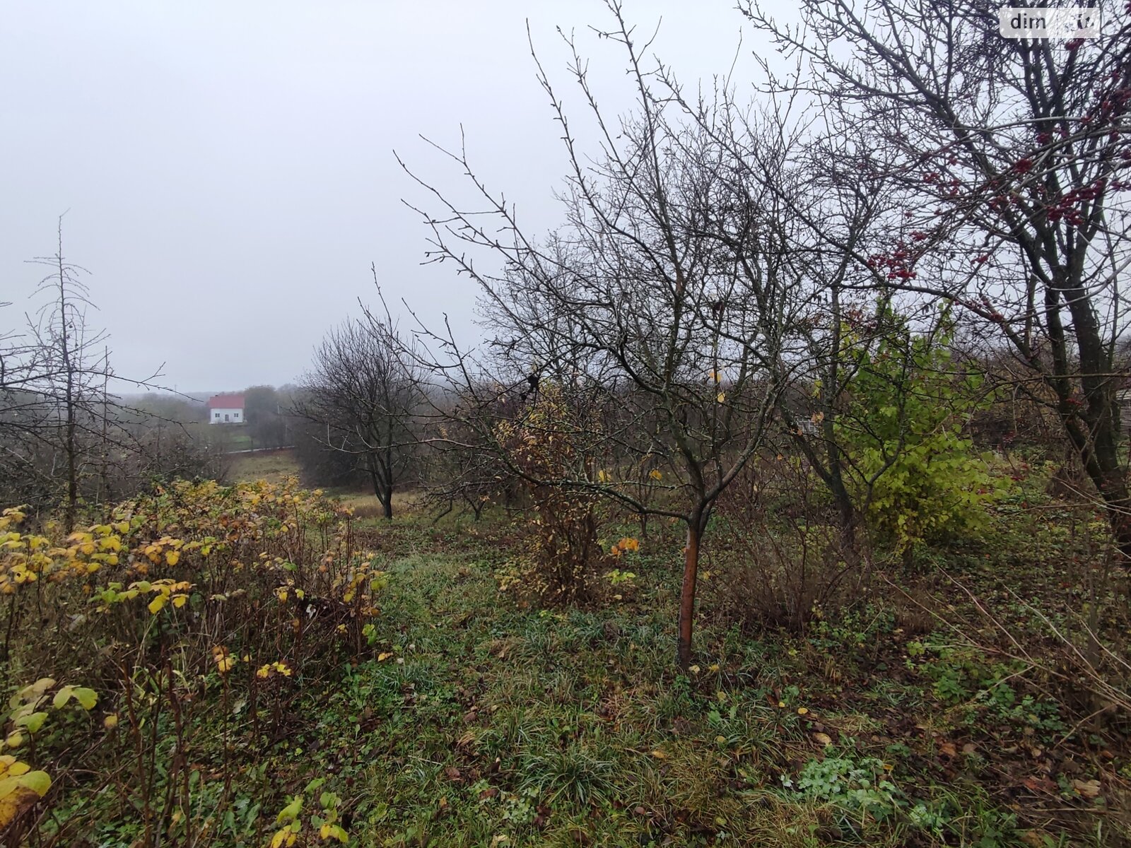 Земельный участок под жилую застройку в Зарванцах, площадь 60 соток фото 1