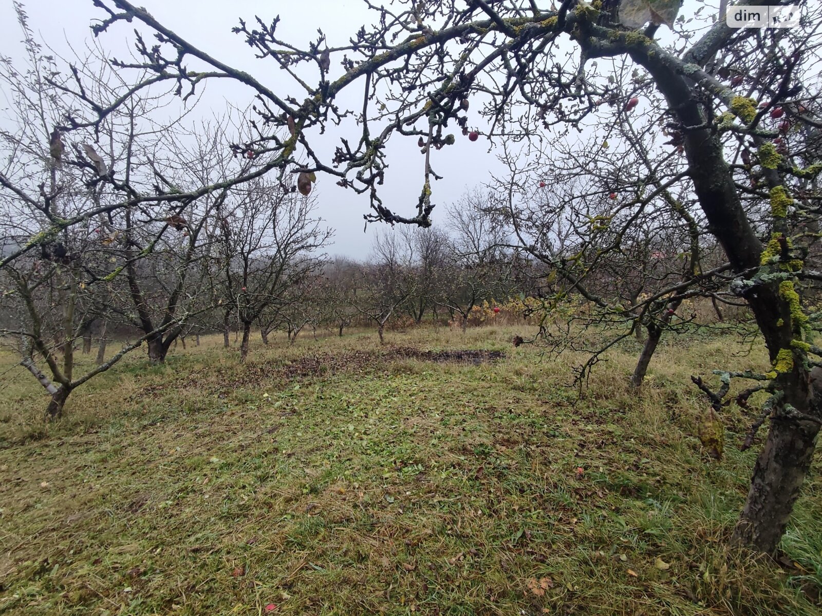 Земельный участок под жилую застройку в Зарванцах, площадь 60 соток фото 1