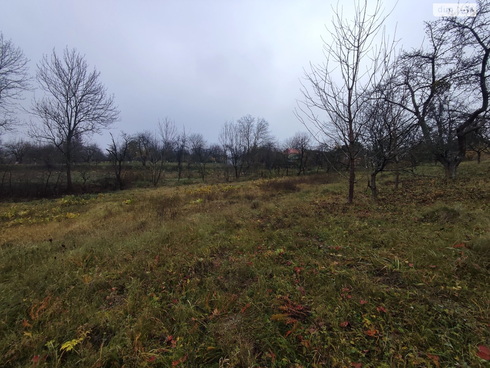 Земельный участок под жилую застройку в Зарванцах, площадь 60 соток фото 1