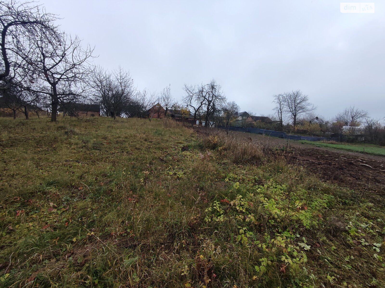 Земельный участок под жилую застройку в Зарванцах, площадь 60 соток фото 1