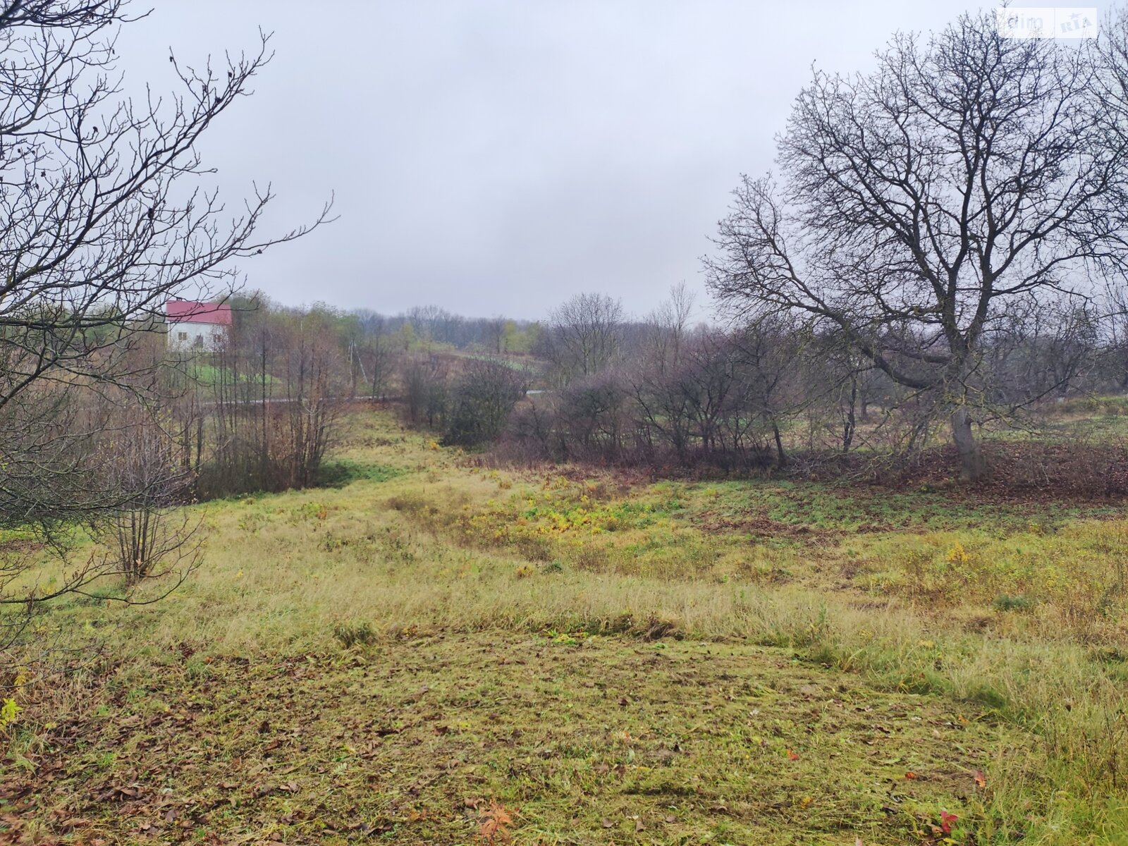 Земельный участок под жилую застройку в Зарванцах, площадь 60 соток фото 1